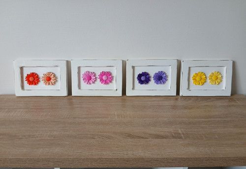 Twin daisy frame in - daisy, shabby